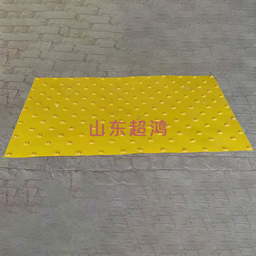 聚乙烯錨固板